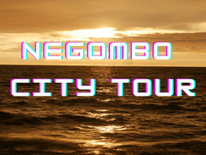 Negombo Day Tour